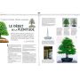 EPUISEESPRIT BONSAI  N°36