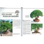 EPUISEESPRIT BONSAI  N°39