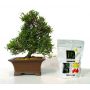 EPbiogold original LOT DE 2 SACS de : 240 grammes.