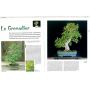 EPUISEESPRIT BONSAI N° 40