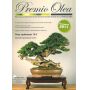 EPUISEFrance bonsai N° 87