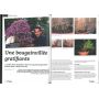BONSAI FOCUS N° 65