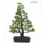 PTpasbeauPin a 5 aiguilles du japon ref: 23110128