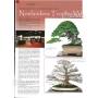 BONSAI FOCUS N° 86