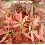 EPUISE Acer palmatum jerry schwartz en godet