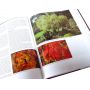 EPUISEMAPLES FOR GARDEN C.J.VAN GELDEREN