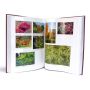 EPUISEMAPLES OF THE WORLD D.M VAN GELDEREN PC DE J