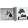 kokufu-ten bonsai exhibition catalogue 83 (2009)