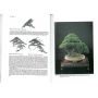 EPUISEbonsai  its art ,science ... koreshoff