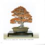 Livre du kokufu ten expo 72 eme (1998)
