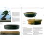 EPUISEESPRIT BONSAI  N°36