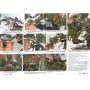 EPUISEFrance bonsai N° 89