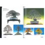 BONSAI FOCUS N° 66