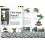 BONSAI FOCUS N° 69
