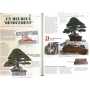 BONSAI FOCUS N° 92