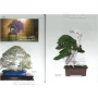 BONSAI FOCUS N° 94