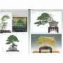 BONSAI FOCUS N° 102