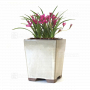 rhodohypoxis "pink shot" pot 1,4 litre