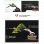 BONSAI FOCUS N° 121