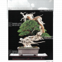 BONSAI FOCUS N° 126