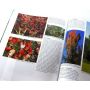 EPUISEMAPLES FOR GARDEN C.J.VAN GELDEREN