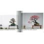 kokufu-ten bonsai exhibition catalogue 83 (2009)