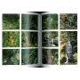 EPUISEJardins japonais tome 2