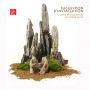 EPUISERocher  pour paysages saikei  +- 25/30 cm