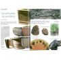 EPUISEHORS SERIE N° 5 CONIFERES.