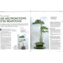 EPUISEESPRIT BONSAI N° 40
