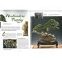 ESPRIT BONSAI N° 51