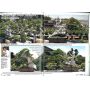 EPUISEFrance bonsai N° 87