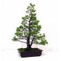 PTpasbeauPin a 5 aiguilles du japon ref: 23110128