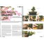 BONSAI FOCUS N° 69