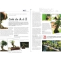 BONSAI FOCUS N° 81