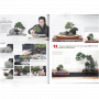 BONSAI FOCUS N° 112