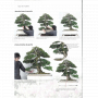 BONSAI FOCUS N° 117