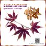 ACER  palmatum 'Atropurpureum' de bouture en godet