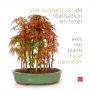 ACER PALMATUM pot de 1.5 L.