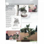 BONSAI FOCUS N° 126