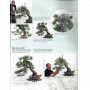 BONSAI FOCUS N° 127