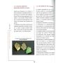 Vos bonsai en pleine forme J. SOMM.