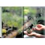 EPUISEPRIVATE BONSAI COLLECTION