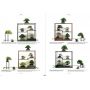 EPUISEThe modern bonsai