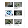 EPUISEVARIEGATED PLANT IN COLOR 2