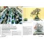 EPUISEFRANCE BONSAI N° 72