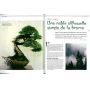 EPUISEESPRIT BONSAI  N°39