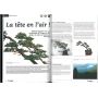 BONSAI FOCUS N° 65