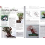 BONSAI FOCUS N° 85