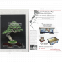 BONSAI FOCUS N° 113